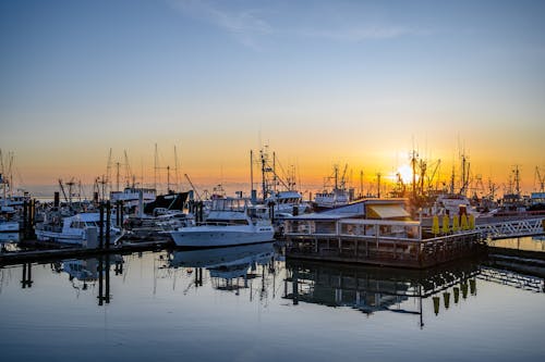 Yachts in Marina at Dusk