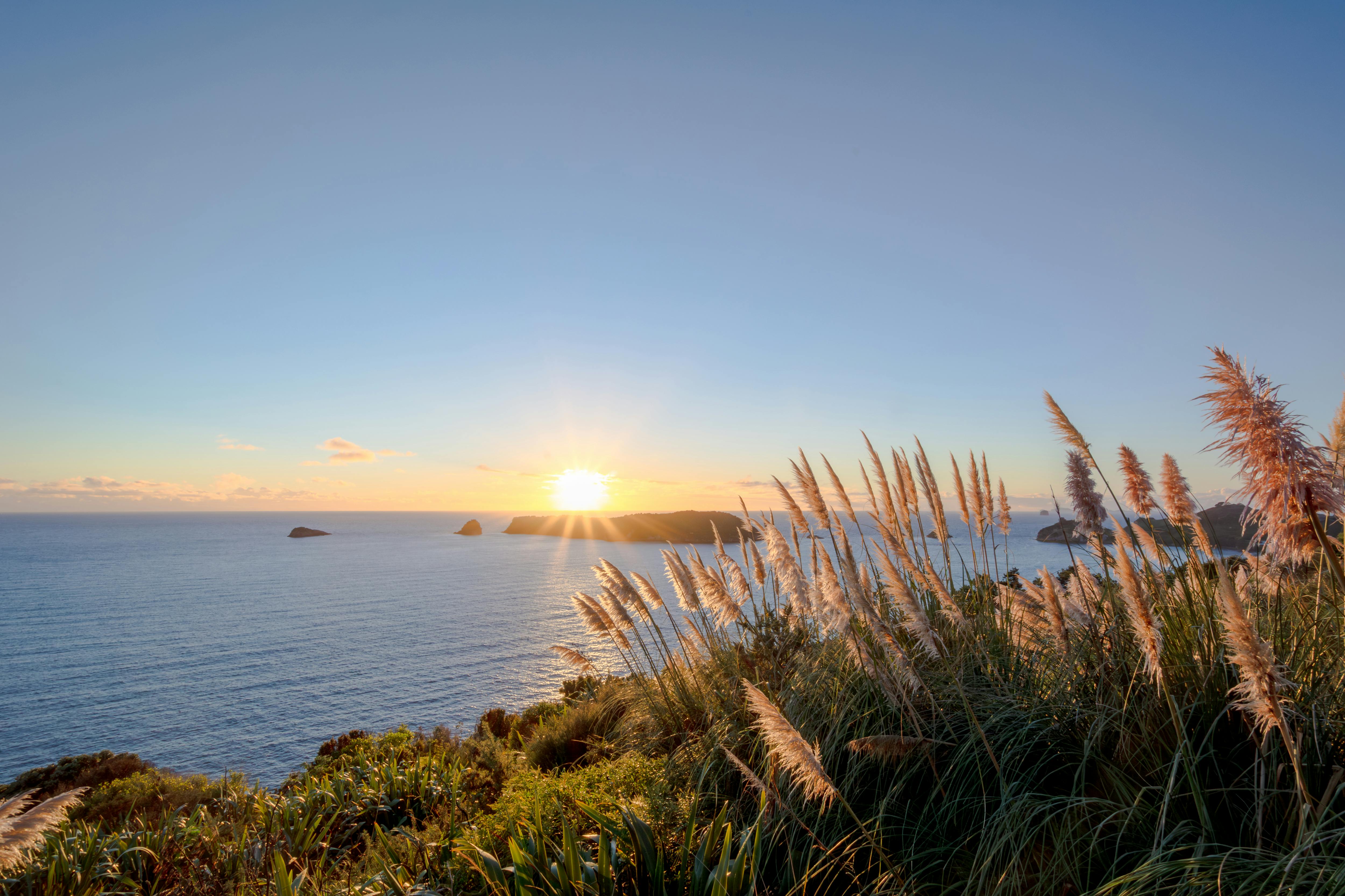 General Travel New Zealand hosts five-city roadshow in India — Photo by Frank Schrader on Pexels