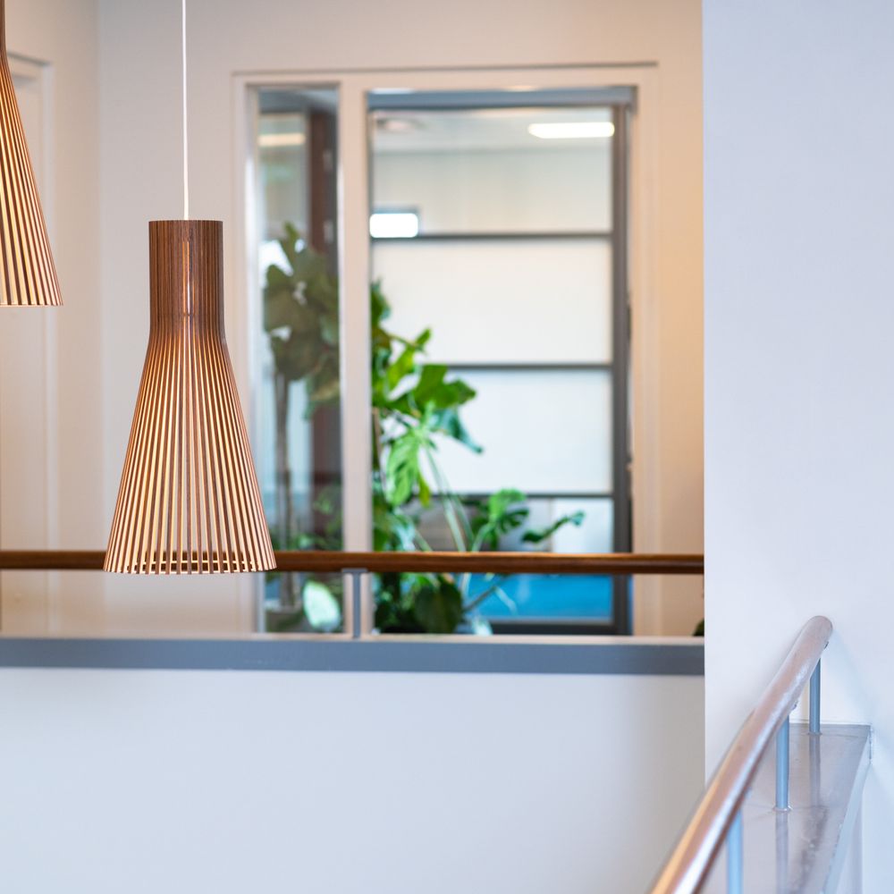 Painters and Decorators in Bayswater — a decorator at work mid-project