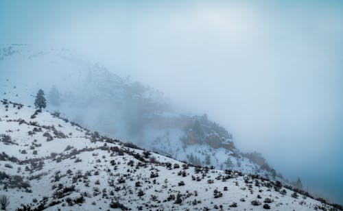 Fog over Hill in Snow