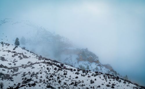 Free A serene winter scene of snow-covered mountains enveloped in mist in Wenatchee, Washington. Stock Photo