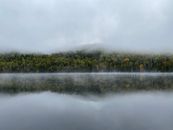 A serene view of a forest reflecting on a misty lake in La Tuque, Quebec.