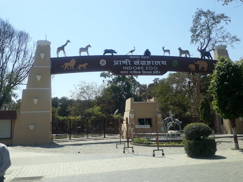 Free stock photo of indor india zoo, indore zoo, prani sanghralay