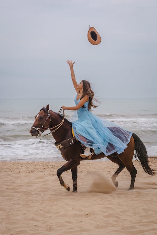 Fotos de stock gratuitas de arena, caballo, costa