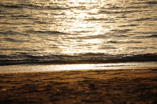 View of a Beach and Sunset Light Reflecting in the Sea 