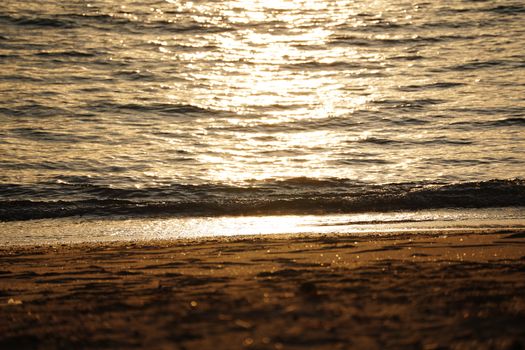 Waves gently lap the sandy shore as the golden sunlight reflects off the serene sea.