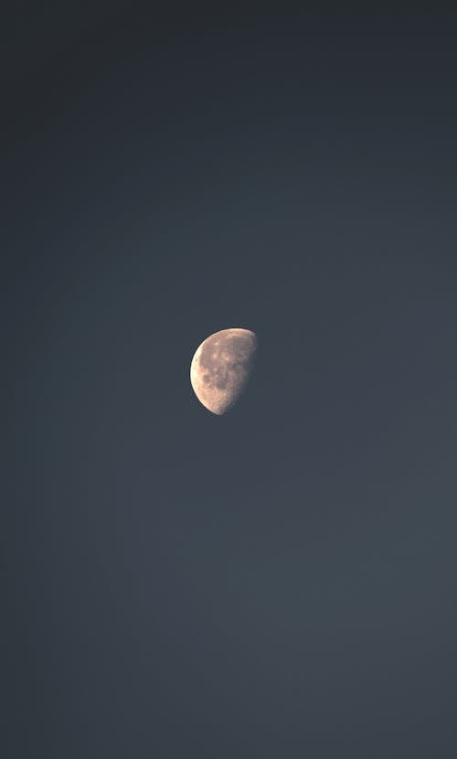 Moon in the Night Sky 