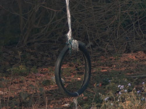 Free stock photo of blur, cycle tyres, farm