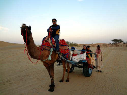 Nomads with Camel on Desert