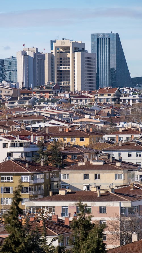 Houses and Skyscrapers in City