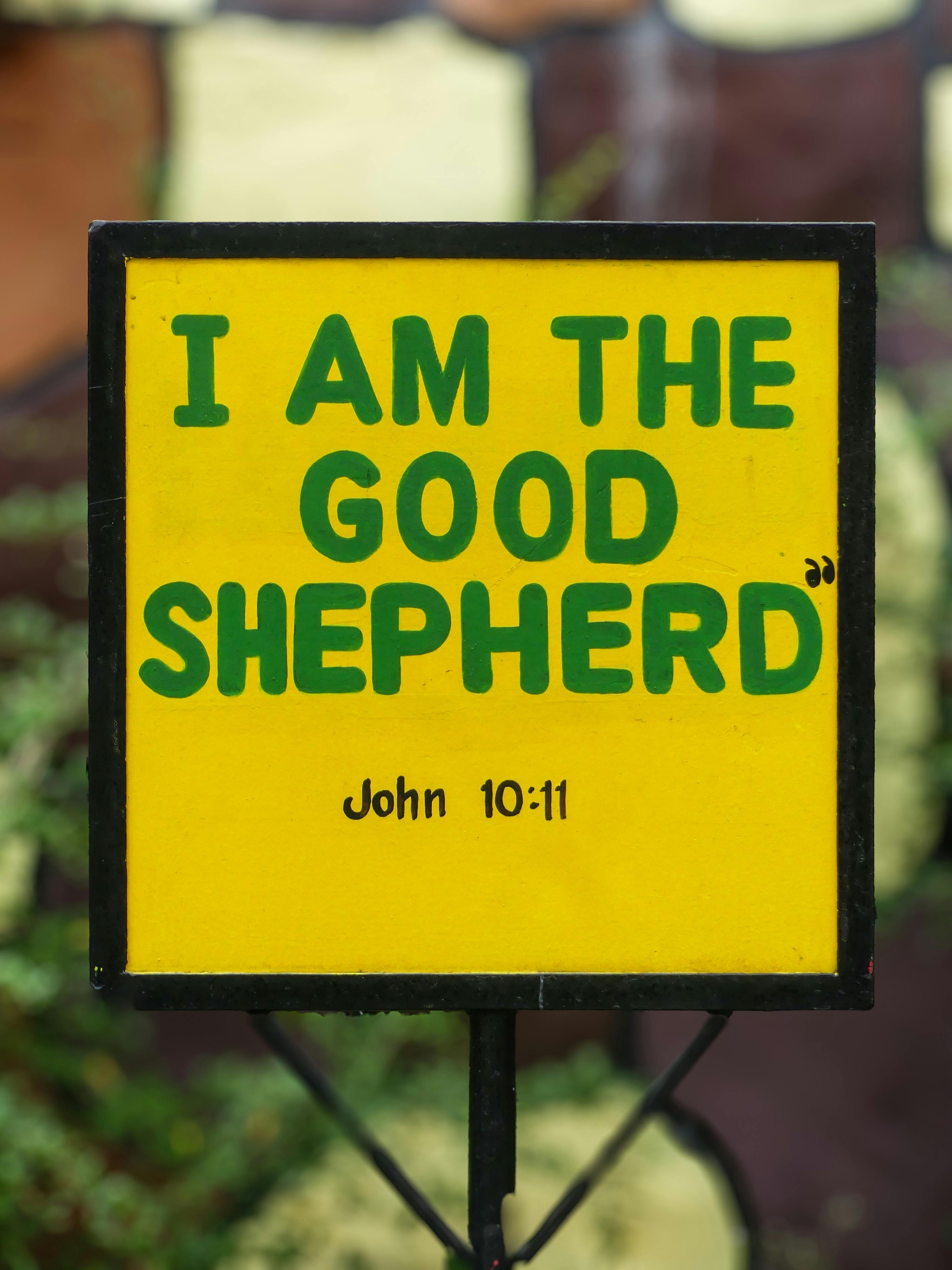 Morning Mantras: Powerful Quotes to Set the Tone for Success