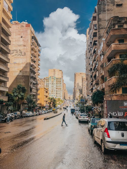 Gratis lagerfoto af alexandria, by, byens gader