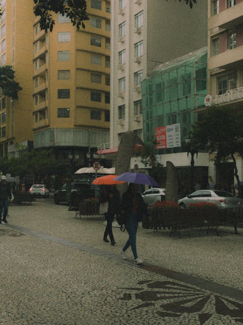 Fotobanka s bezplatnými fotkami na tému chôdza, dážď, dáždniky