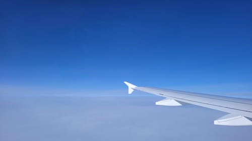 Free stock photo of airplane wing, blue skies, clouds