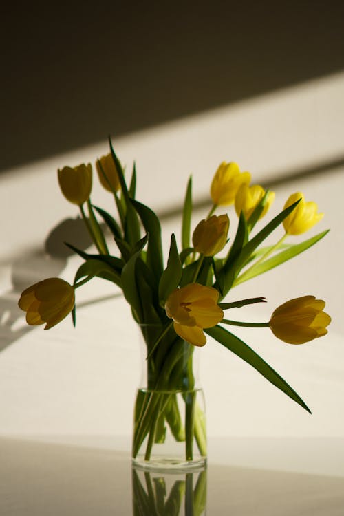 Vase of Yellow Tulips