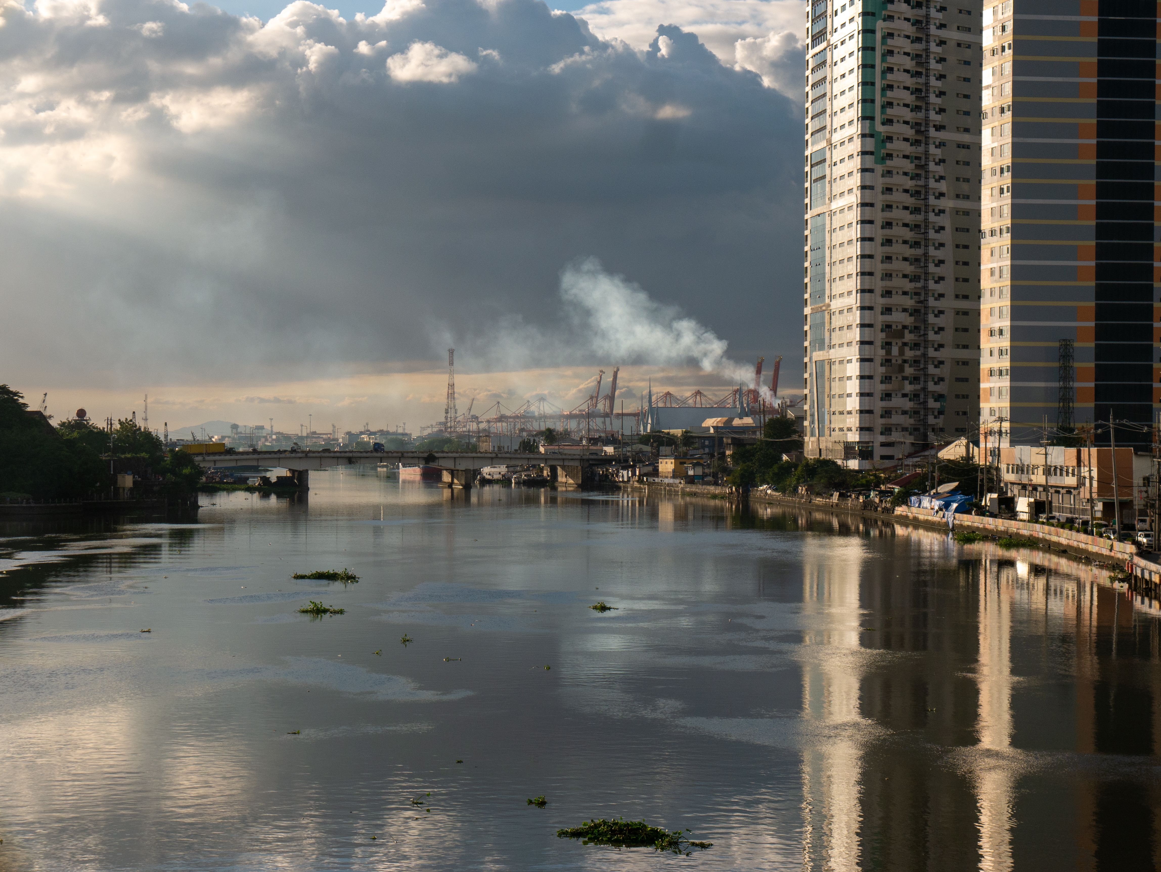 Leptospira Bacteria Detected in Manila Waterway, Public Health Alert ...