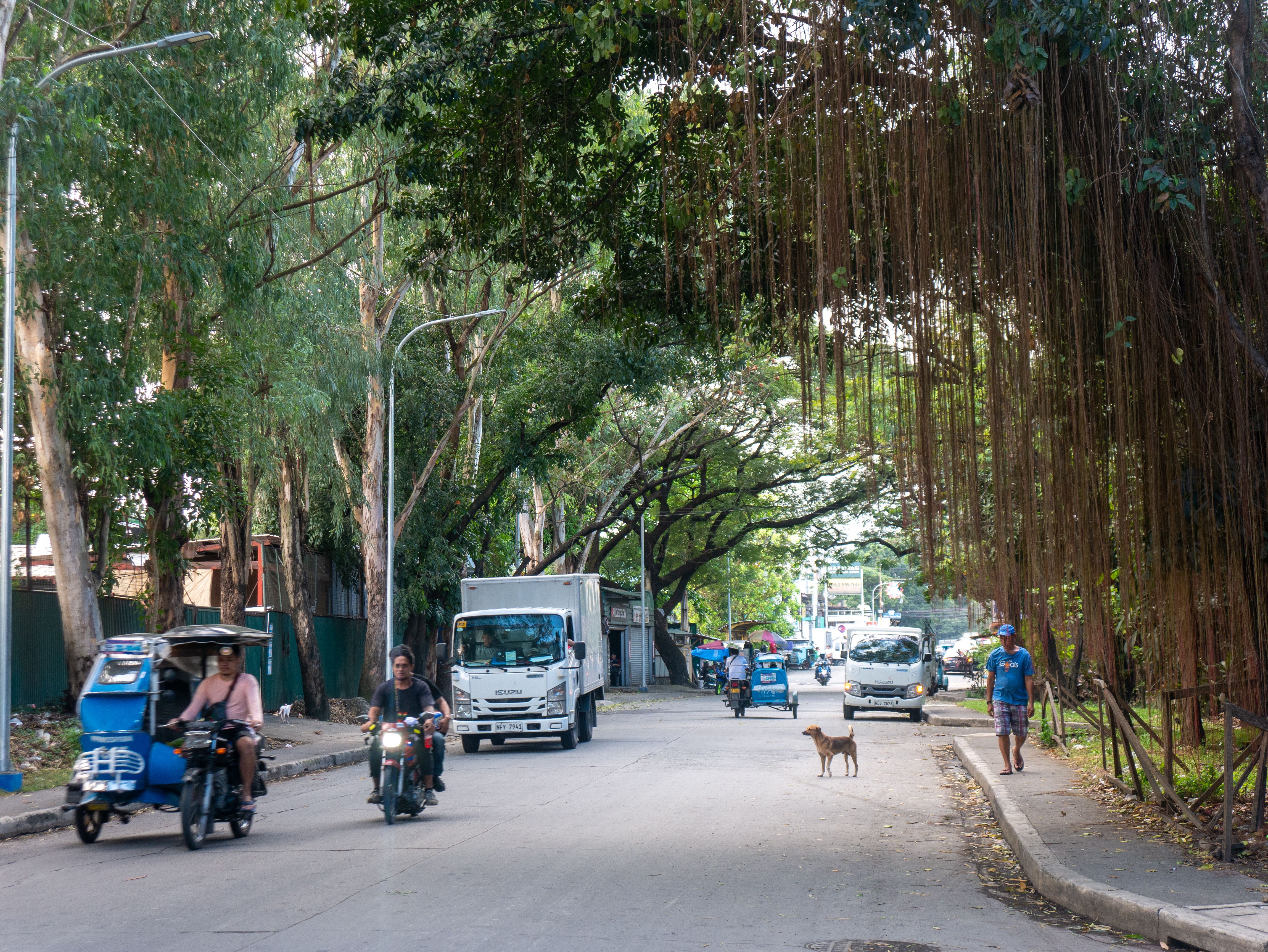 Narra — Street, Narra