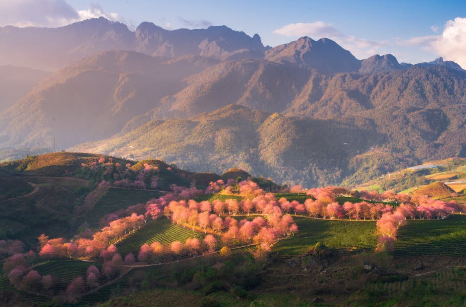 Cultivating Self Awareness Through Mindfulness