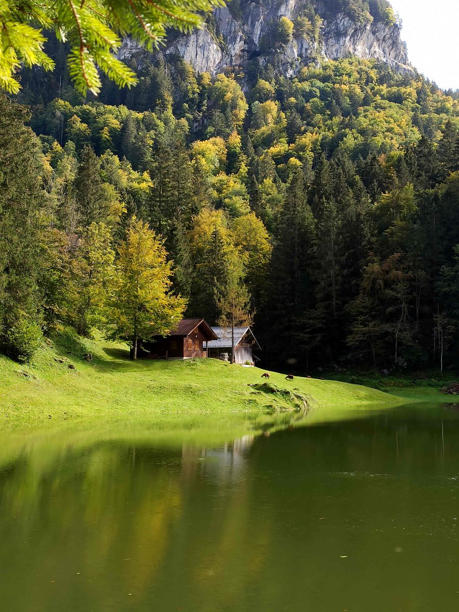 A small wooden cabin on a green lakeshore beneath forested cliffs