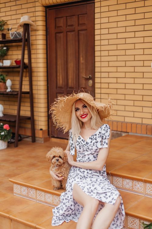 Free Elegant woman in a summer dress sitting with her dog on a sunny terrace in Cairo, Egypt. Stock Photo
