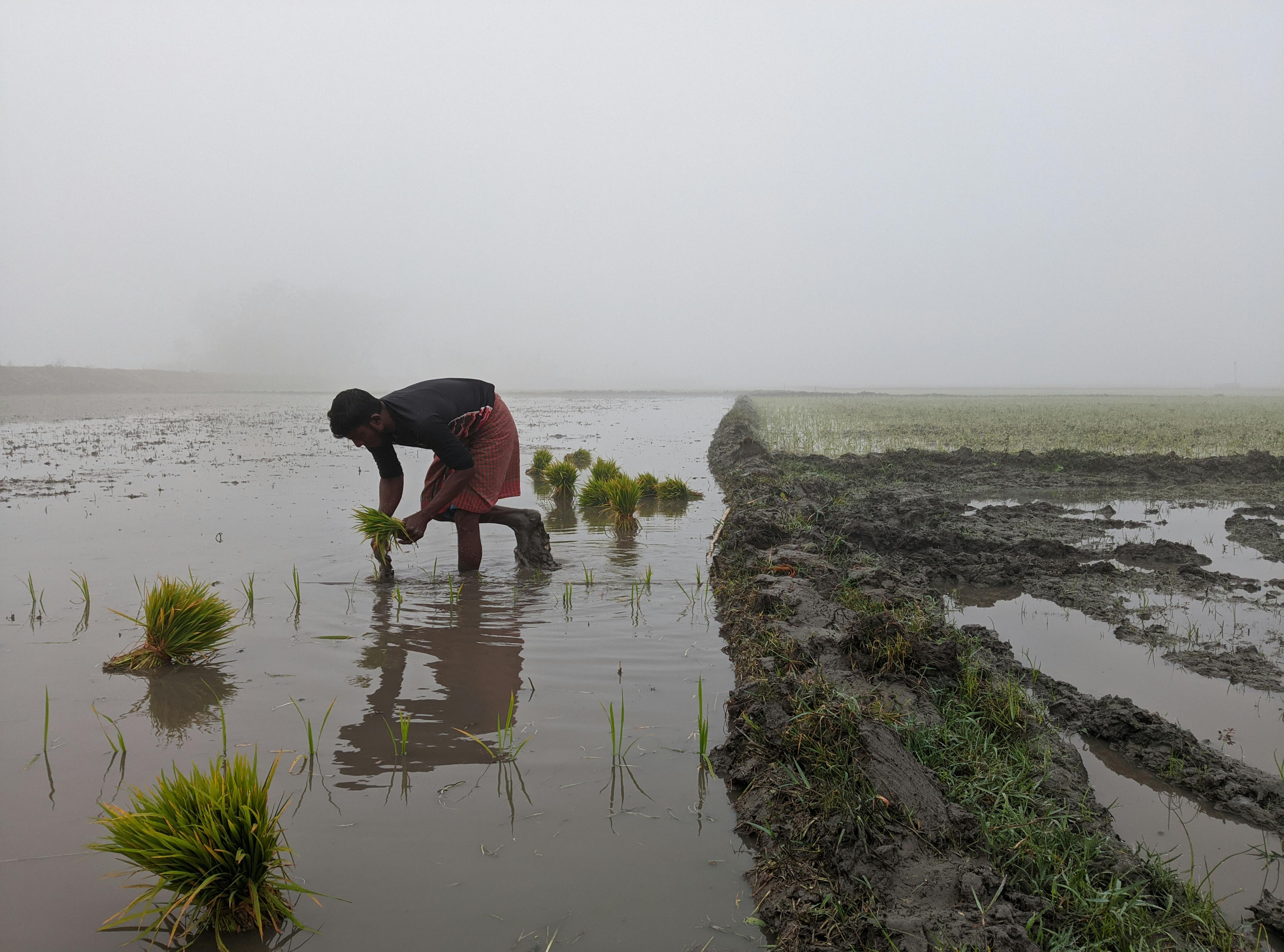 Educating for climate resilience: Anil Adhikari on conservation and community action in Nepal — Photo by Adil Ahnaf🇧🇩🇵🇸 o