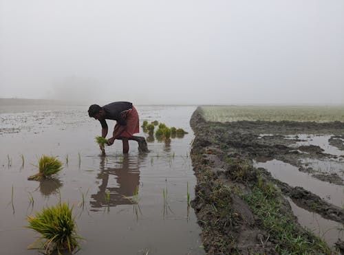 Kostenloses Stock Foto zu 71bangladesch, abenteuer, abstrakt