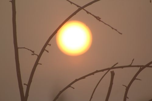 Free Sunset Stock Photo