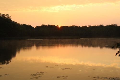 Free Wisconsin North Woods Stock Photo