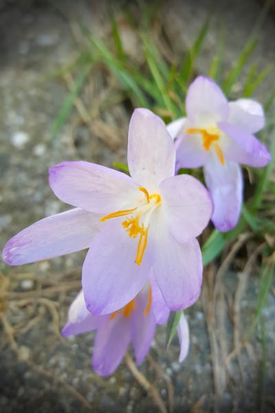 教师节祝福语4字 教师节祝福语4字短语