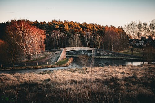 Fotobanka s bezplatnými fotkami na tému jeseň, lávka, lávky