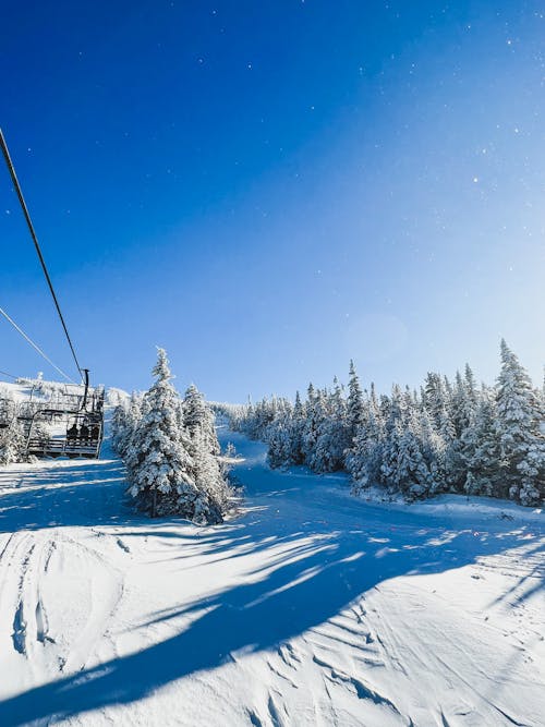 スキーリフト, スロープ, 冬の無料の写真素材