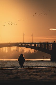 A silhouette of a person walking near a bridge at sunrise, with birds flying in the sky.