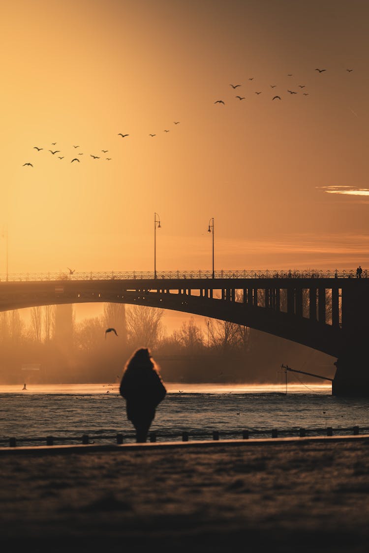 Woman Against Bridge At Dawn