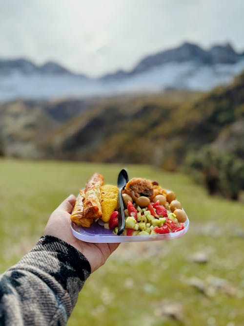 A Person Holding a Plate with Food on the Background of Mountains 