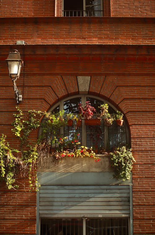 Free stock photo of arch, brick background, brick building