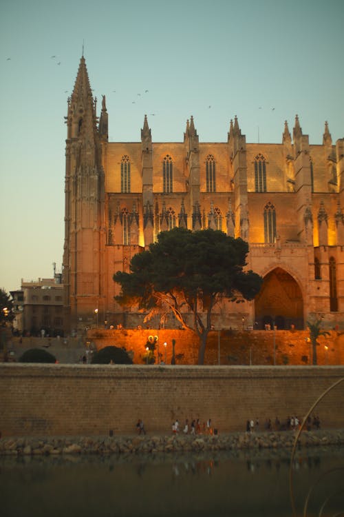Ilmainen kuvapankkikuva tunnisteilla Espanja, goottilainen arkkitehtuuri, katedraali