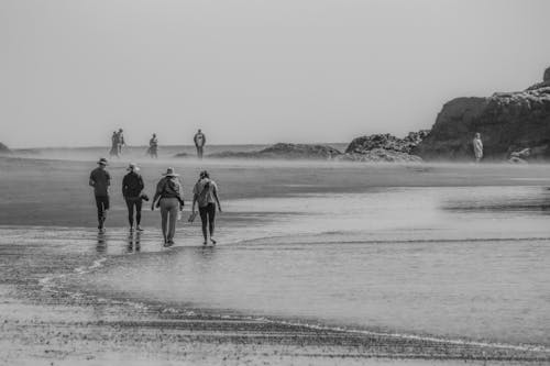 Foto stok gratis berjalan, hitam & putih, laut
