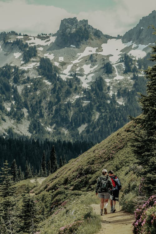 Back View of People Walking on a Trail in Mountains 