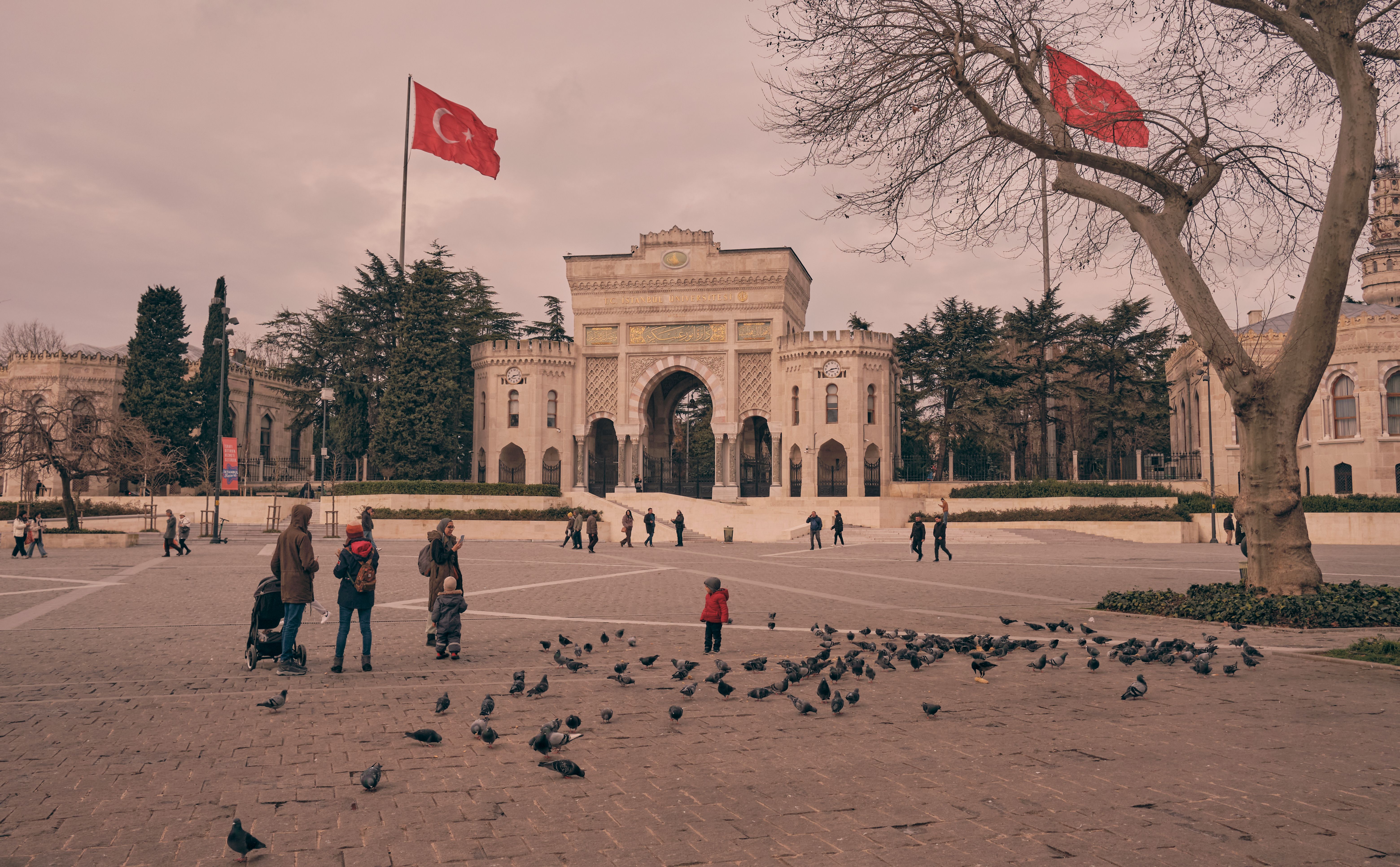 UP Open University opens 28 free online courses — Photo by Onur on Pexels