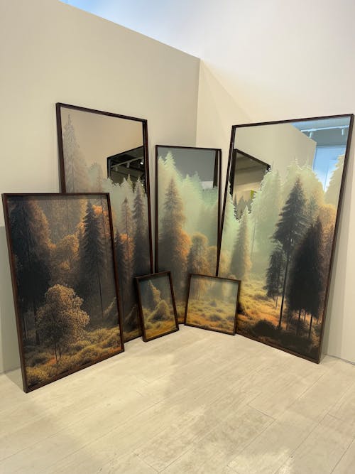 Foto stok gratis cermin, eksibisi, hutan pohon