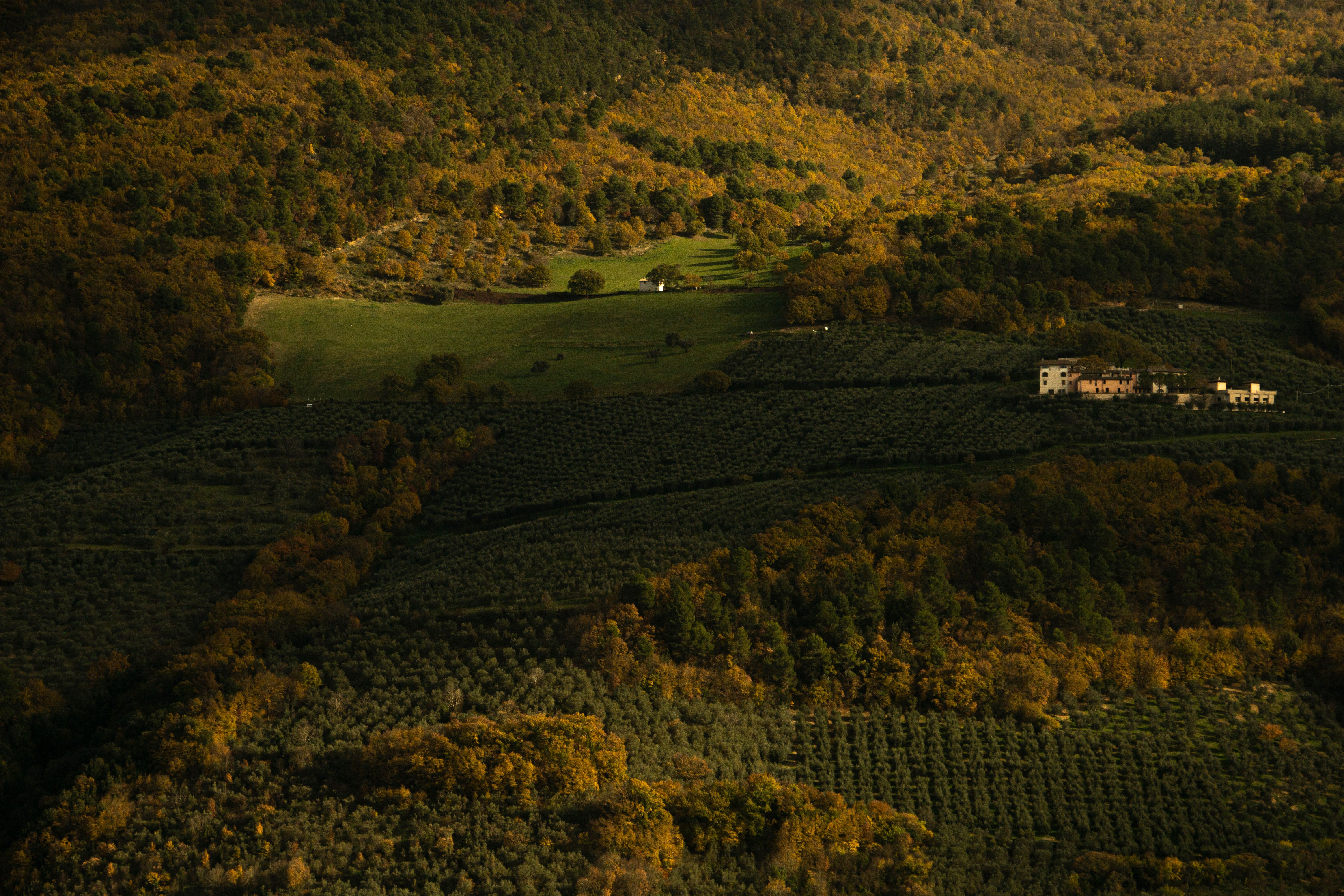 Breathtaking aerial image of lush vineyards, farmhouses, and rolling hills in autumn.