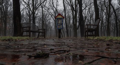 Free A quiet park scene with a little free library surrounded by benches and trees on a rainy day. Stock Photo