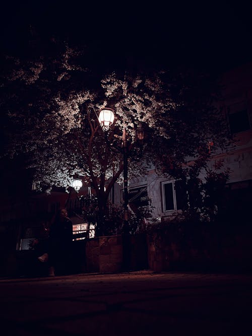 Free stock photo of at night, city light, dark wallpaper