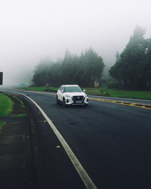 Free A white SUV driving on a foggy road surrounded by lush trees, capturing a serene and modern travel scene. Stock Photo