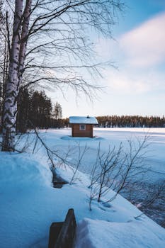 芬兰韦斯屈莱的冬季风景，有冰冻的湖泊和被雪包围的木棚