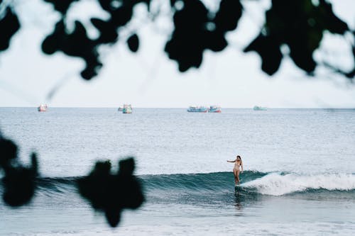 Immagine gratuita di donna, fare surf, litorale
