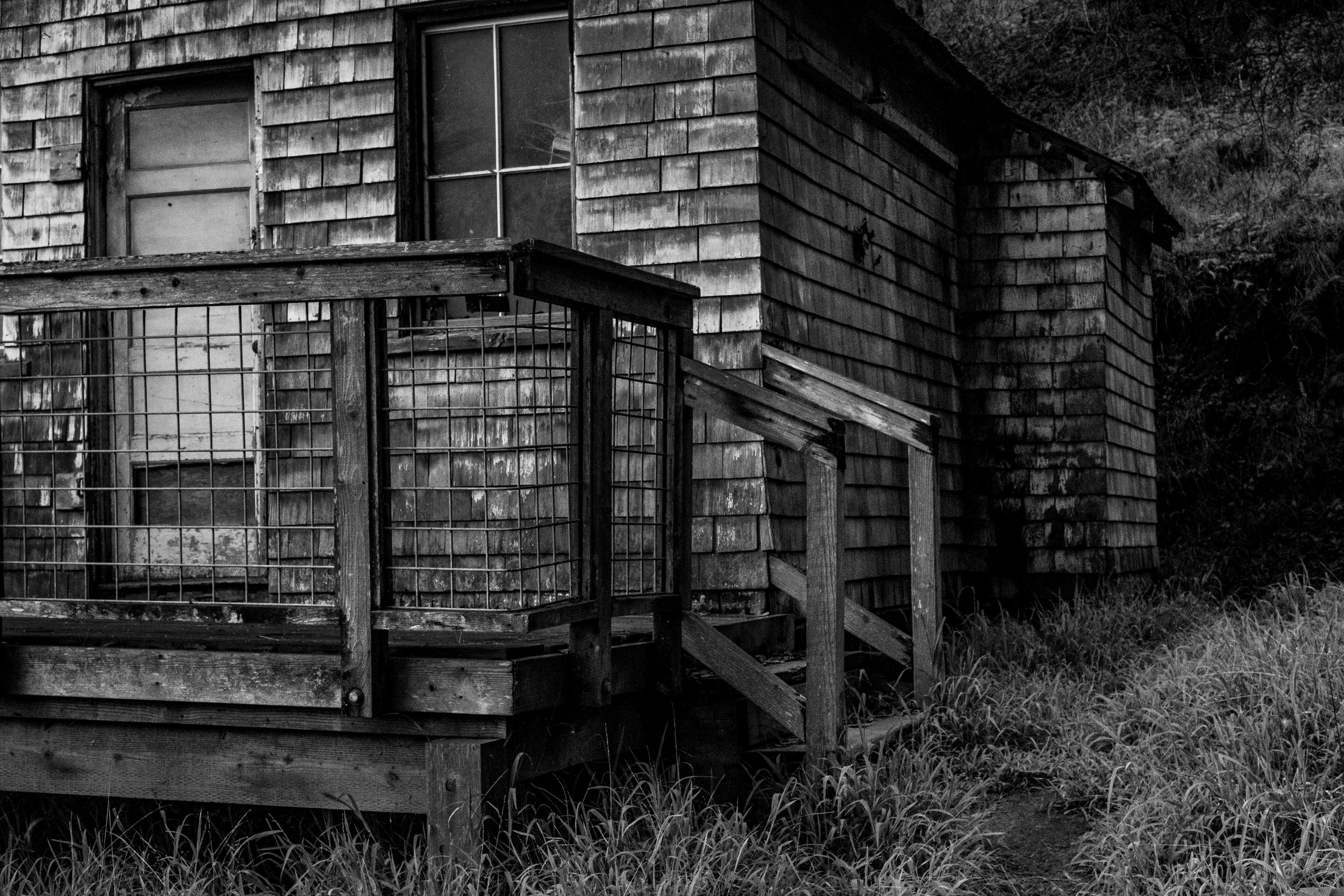 Cover art — photo by David McElwee on Pexels