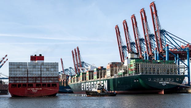 Container ships docked at Hamburg port showcasing logistics and industry.