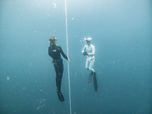 Divers with Rope in Sea