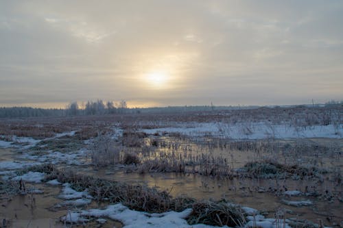 Foto profissional grátis de cenário, com frio, congelado